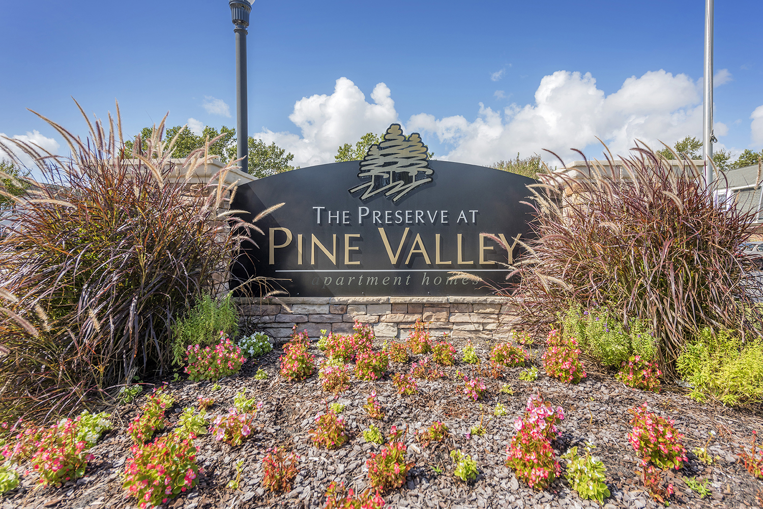 The Preserve at Pine Valley The Multifamily Advisory Group at Cushman